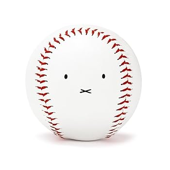 専用　ボール　野球　44球　練習　自主トレ　ティーバッティング　ノック 専用 ボール 野球 44球 練習 自主トレ ティーバッティング